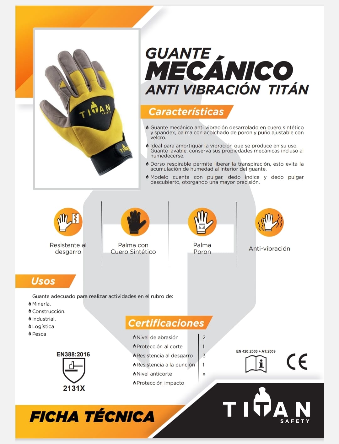 Imagen 11